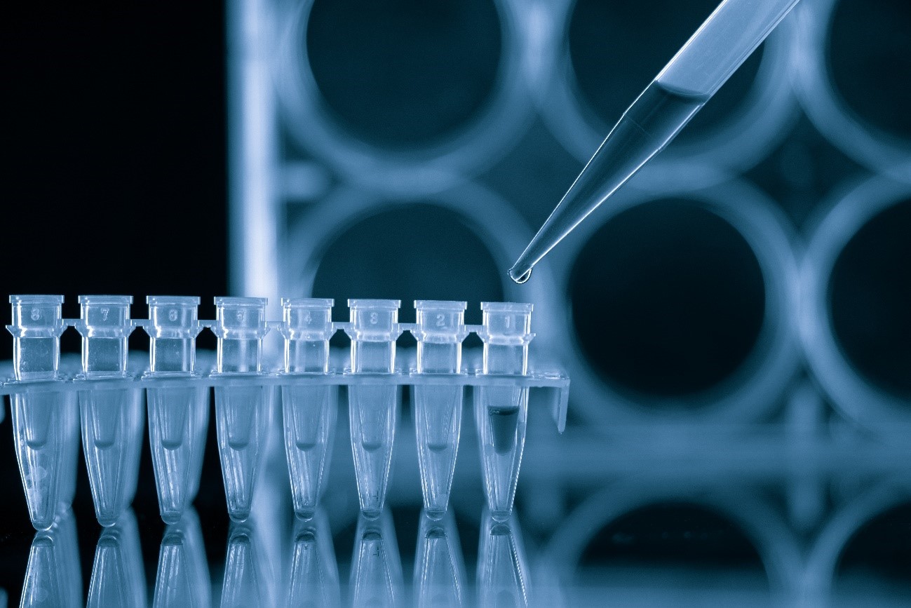 estudio-microbiologico-periodontal